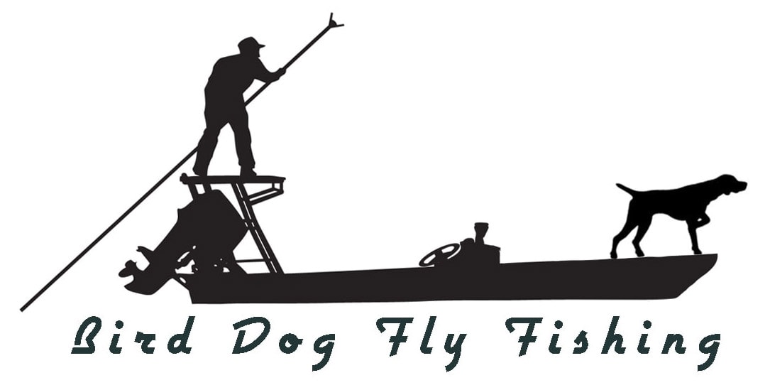 Birddog fly fishing logo