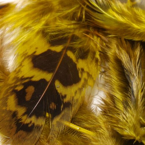 Hen Pheasant Body Soft Hackle - Image 3