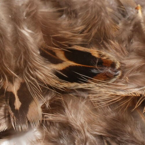 Hen Pheasant Body Soft Hackle - Image 5
