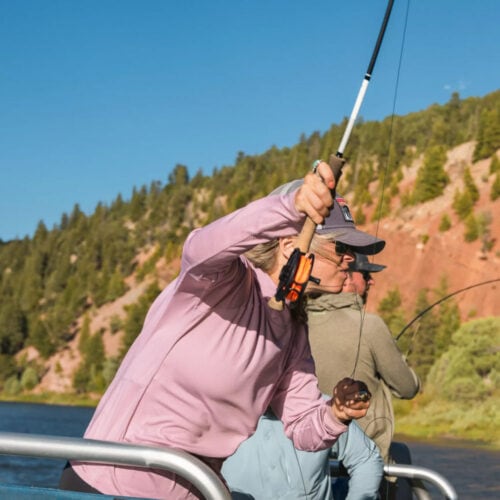 Orvis Helios D Fly Rod - Image 5