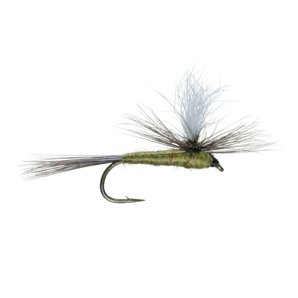Parachute bwo