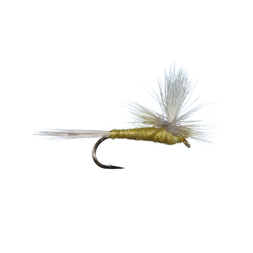 Parachute PMD