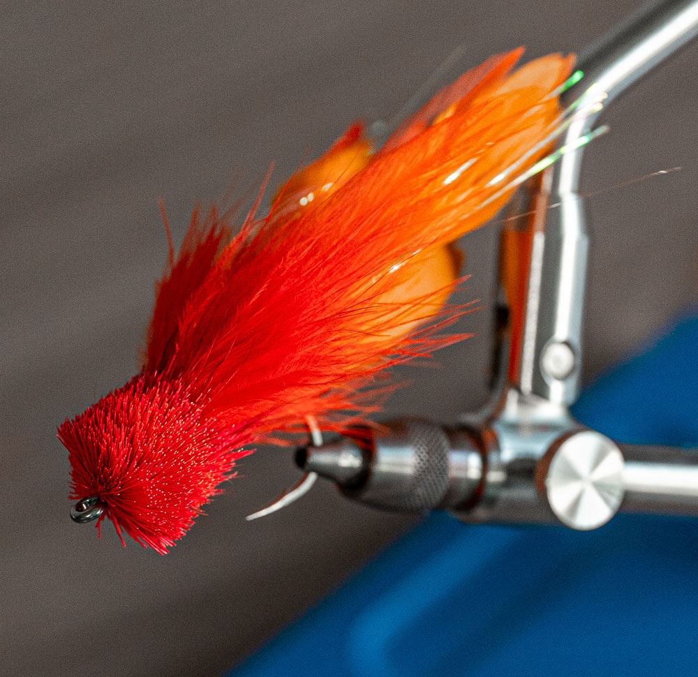 The Shark Fly