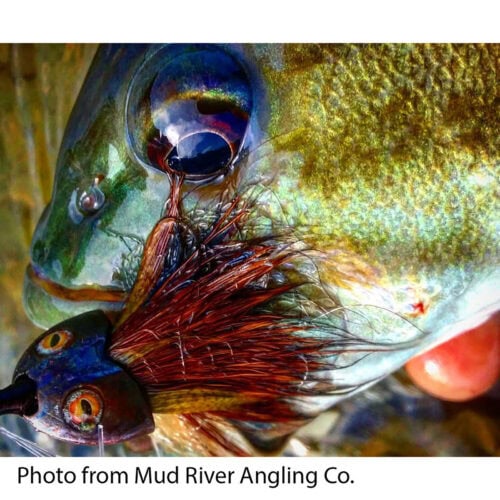 Fish-Skull® Bandito Sculpin Head - Image 10