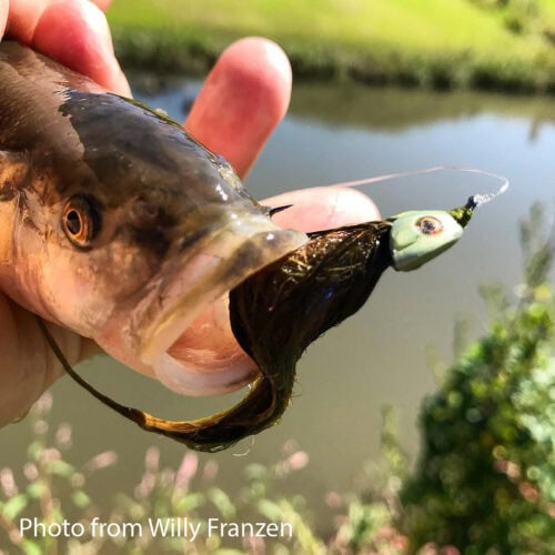 Fish-Skull® Bandito Sculpin Head - Image 11