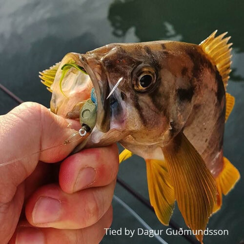 Fish-Skull® Bandito Sculpin Head - Image 14