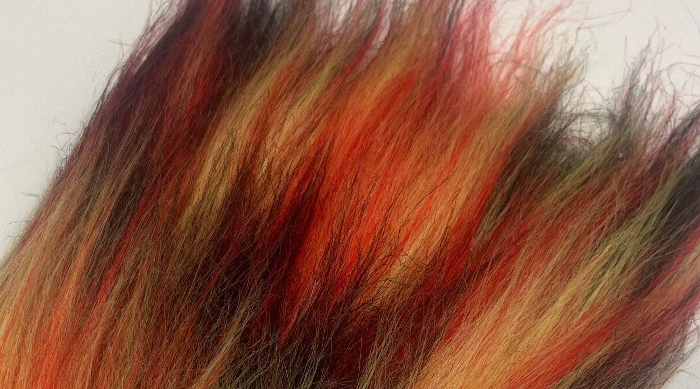 Fire Wolf