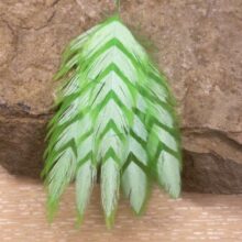 Galloup’s Fish Feathers – Arrowhead - Chartruse/White