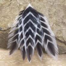 Galloup’s Fish Feathers – Arrowhead