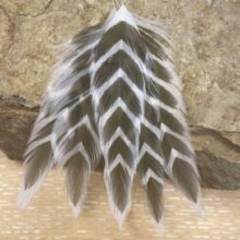 Galloup’s Fish Feathers – Arrowhead - White/Olive