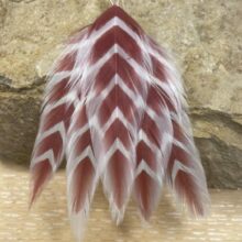 Galloup’s Fish Feathers – Arrowhead - White/Red