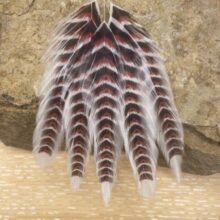 Galloup’s Fish Feathers – Grizzled