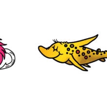 Umpqua Dr. Seuss Brown Trout Egg Sticker