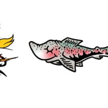 Umpqua Dr. Seuss Steelhead Sticker