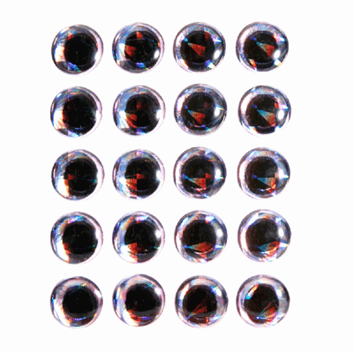 MFC Fishize - Image 3