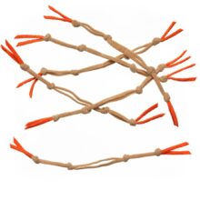 EP Langostino Claw