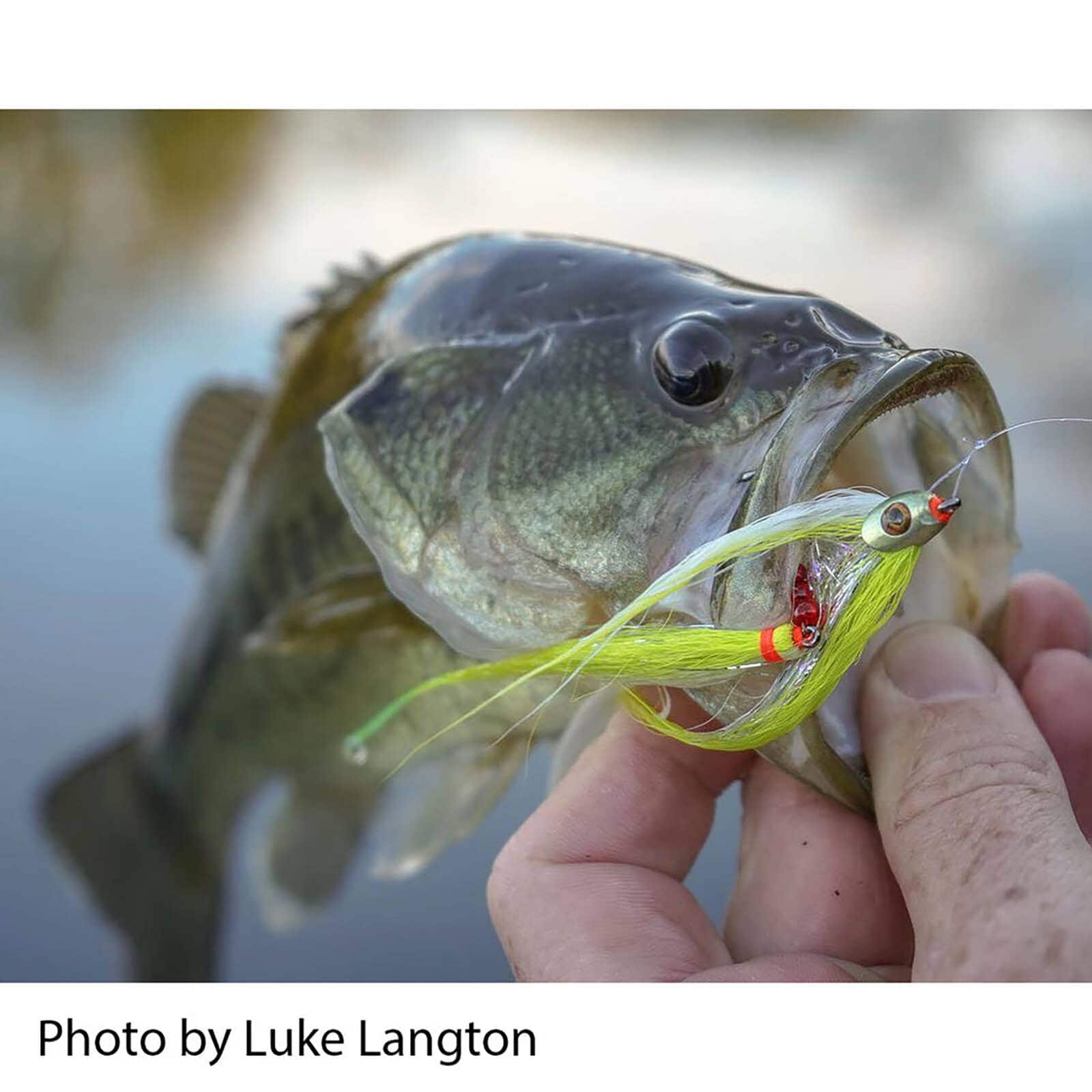 Fish-Skull® Bandito Baitfish Heads™ - Image 8