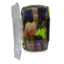 Indian River Lagoon Box